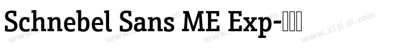 Schnebel Sans ME Exp字体转换